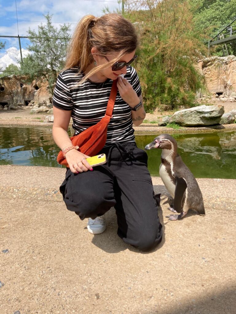 2b953cb3 9ca2 47db bfe9 98ecda20e661